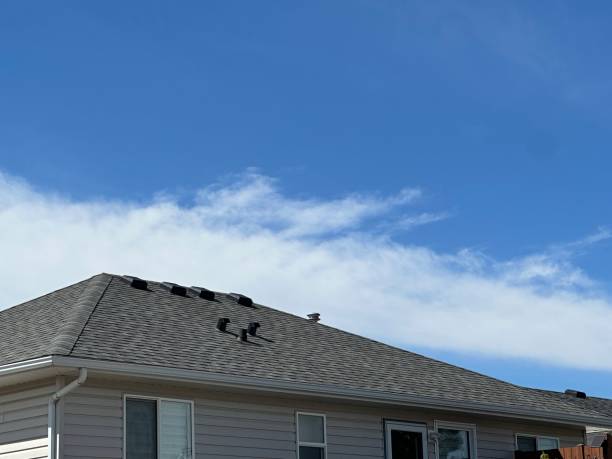 Best Storm Damage Roof Repair  in Northchase, NC